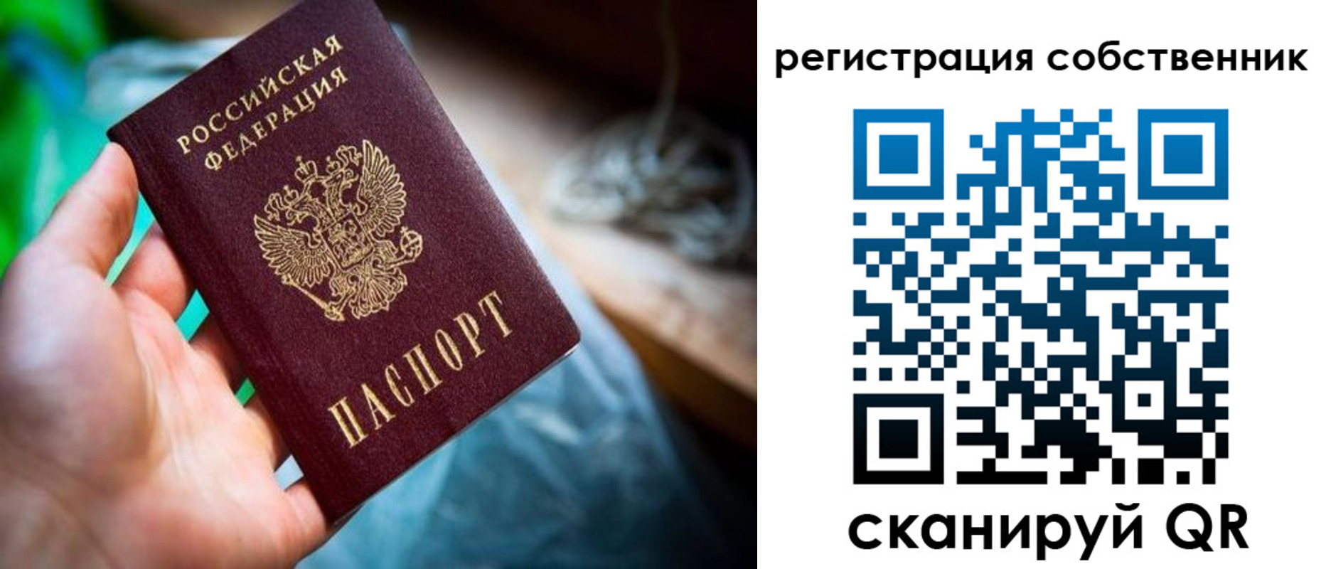 прописка гарантия в Павлово